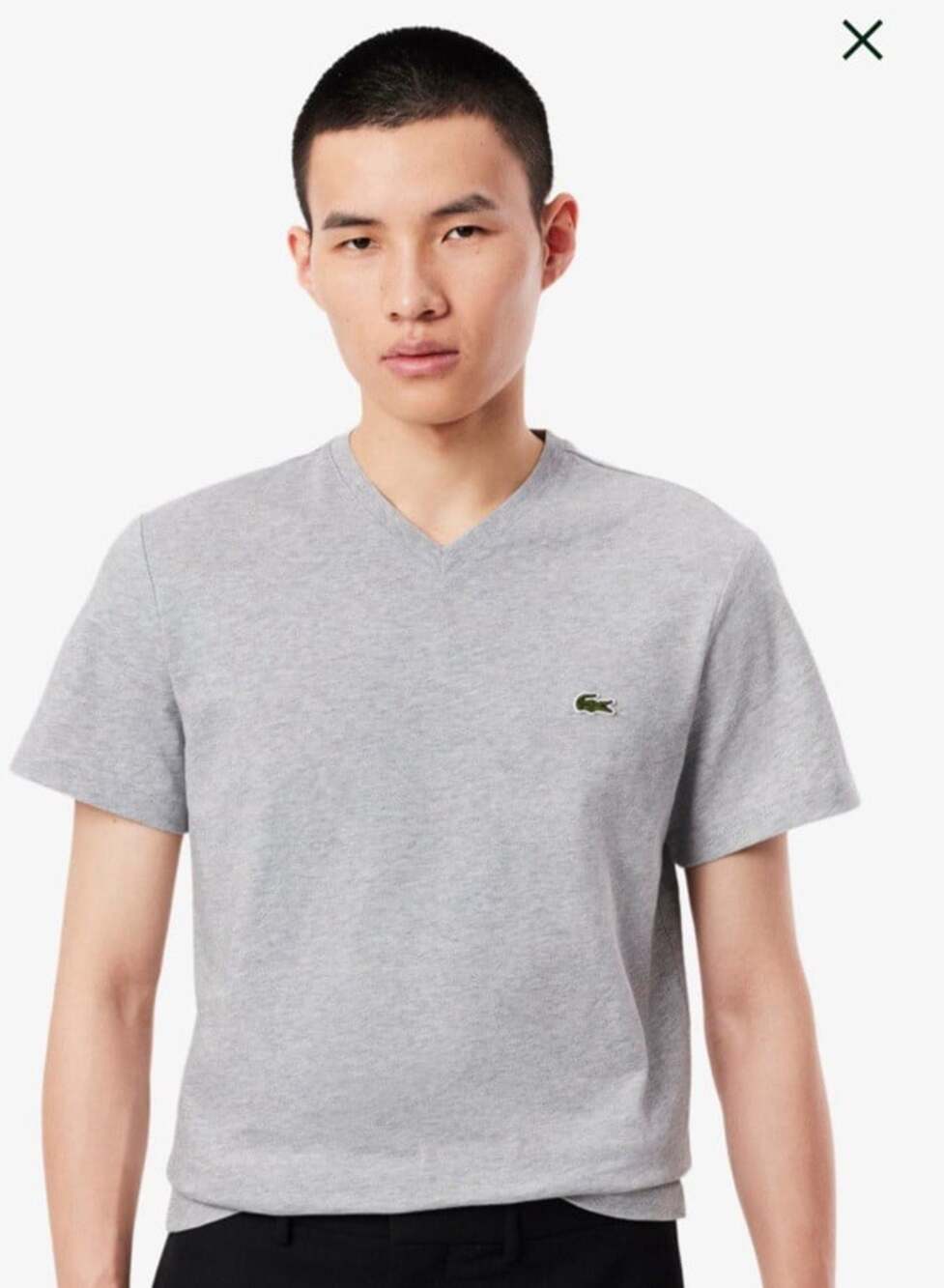 Lacoste Men Grey Pima Cotton V-Neck T-Shirt Short Sleeve Logo Tee Sz L Aligator